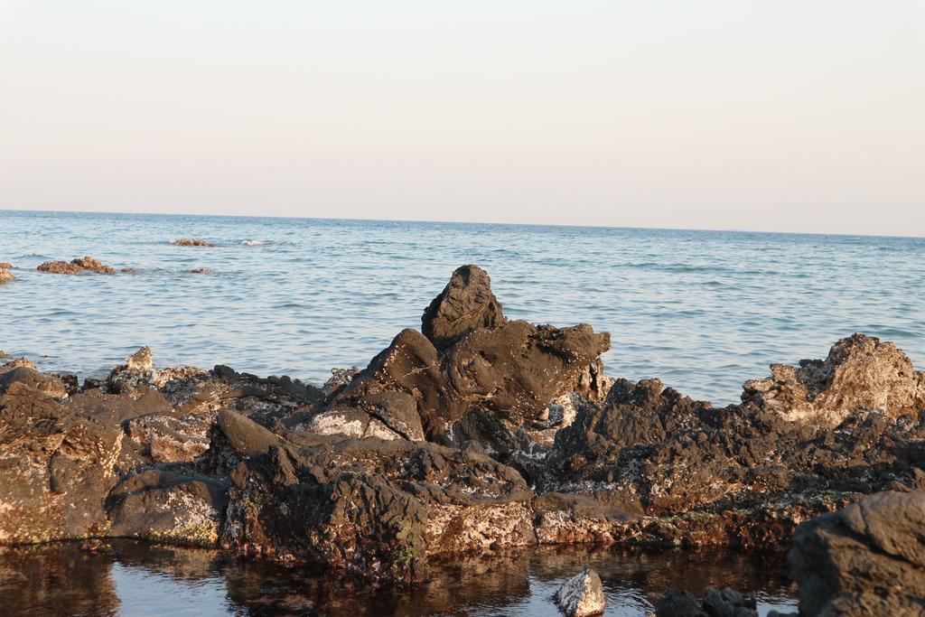 Blue Island Guesthouse Seogwipo Bagian luar foto