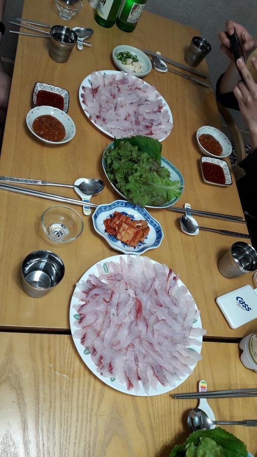 Blue Island Guesthouse Seogwipo Bagian luar foto