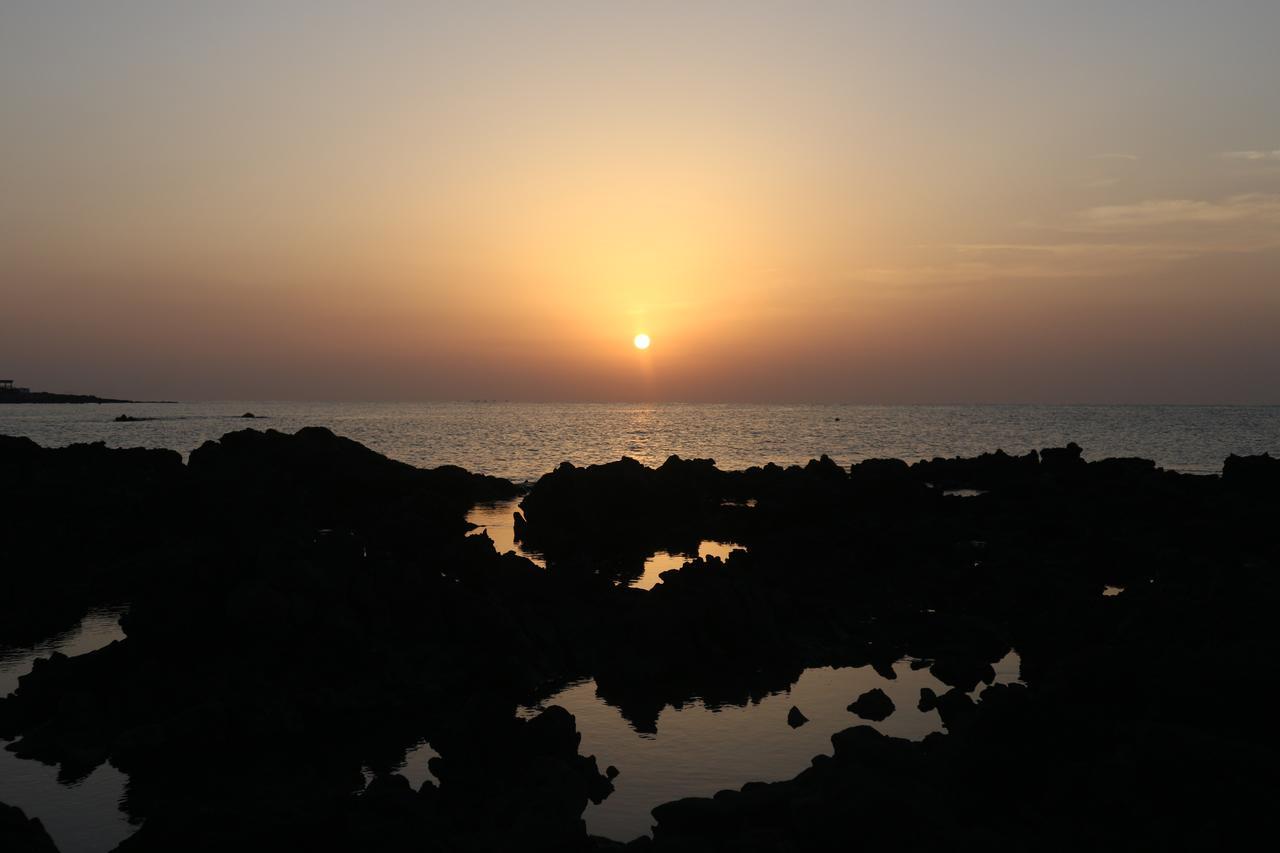 Blue Island Guesthouse Seogwipo Bagian luar foto