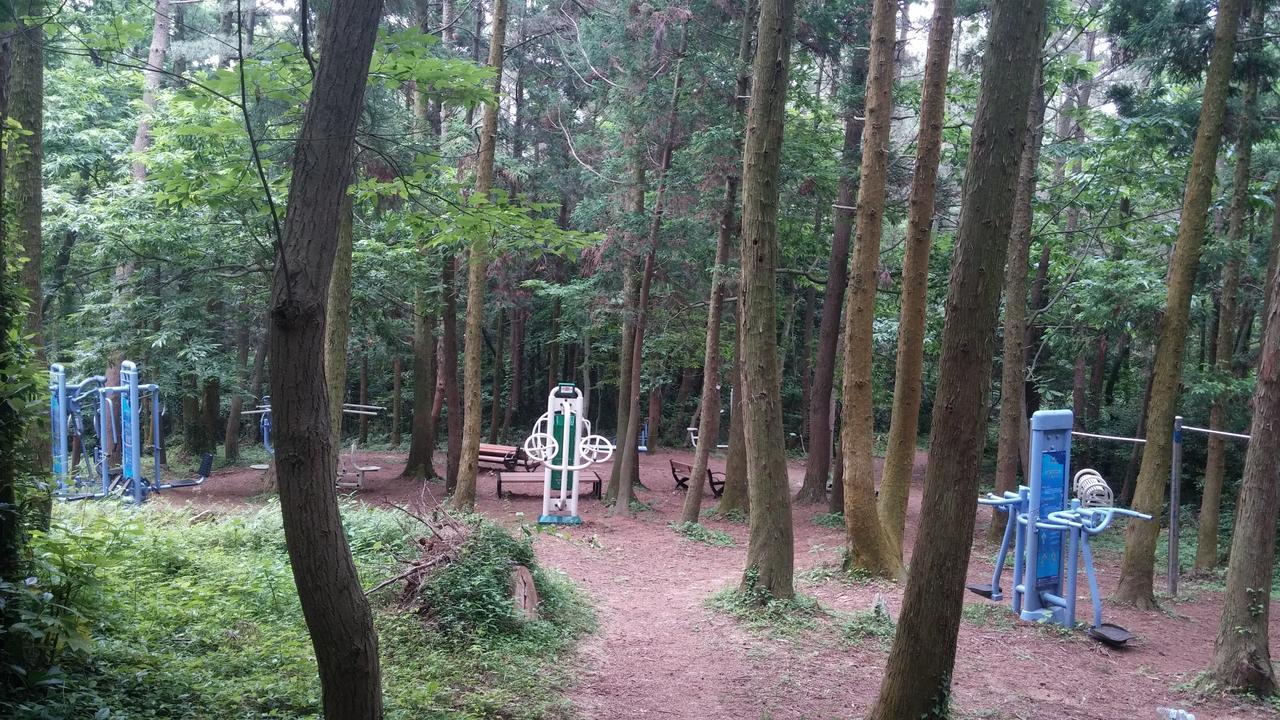 Blue Island Guesthouse Seogwipo Bagian luar foto