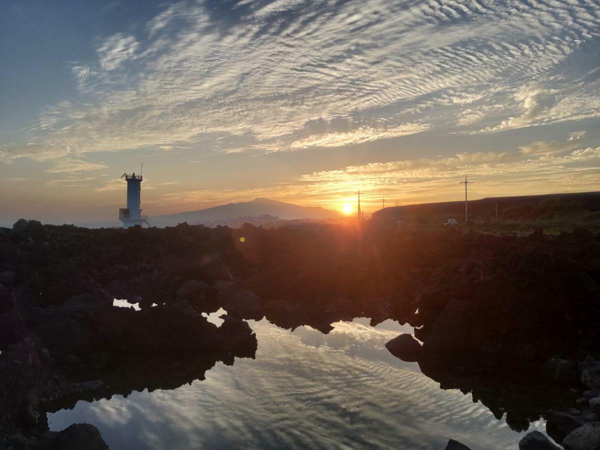 Blue Island Guesthouse Seogwipo Bagian luar foto